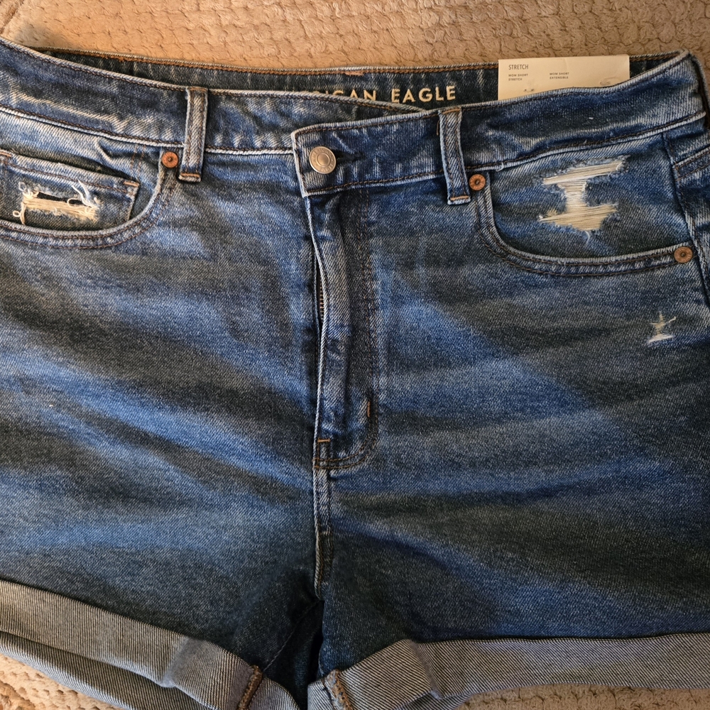 American Eagle Outfitters Women's Blue Denim Shorts